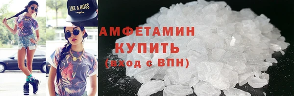 PSILOCYBIN Бородино